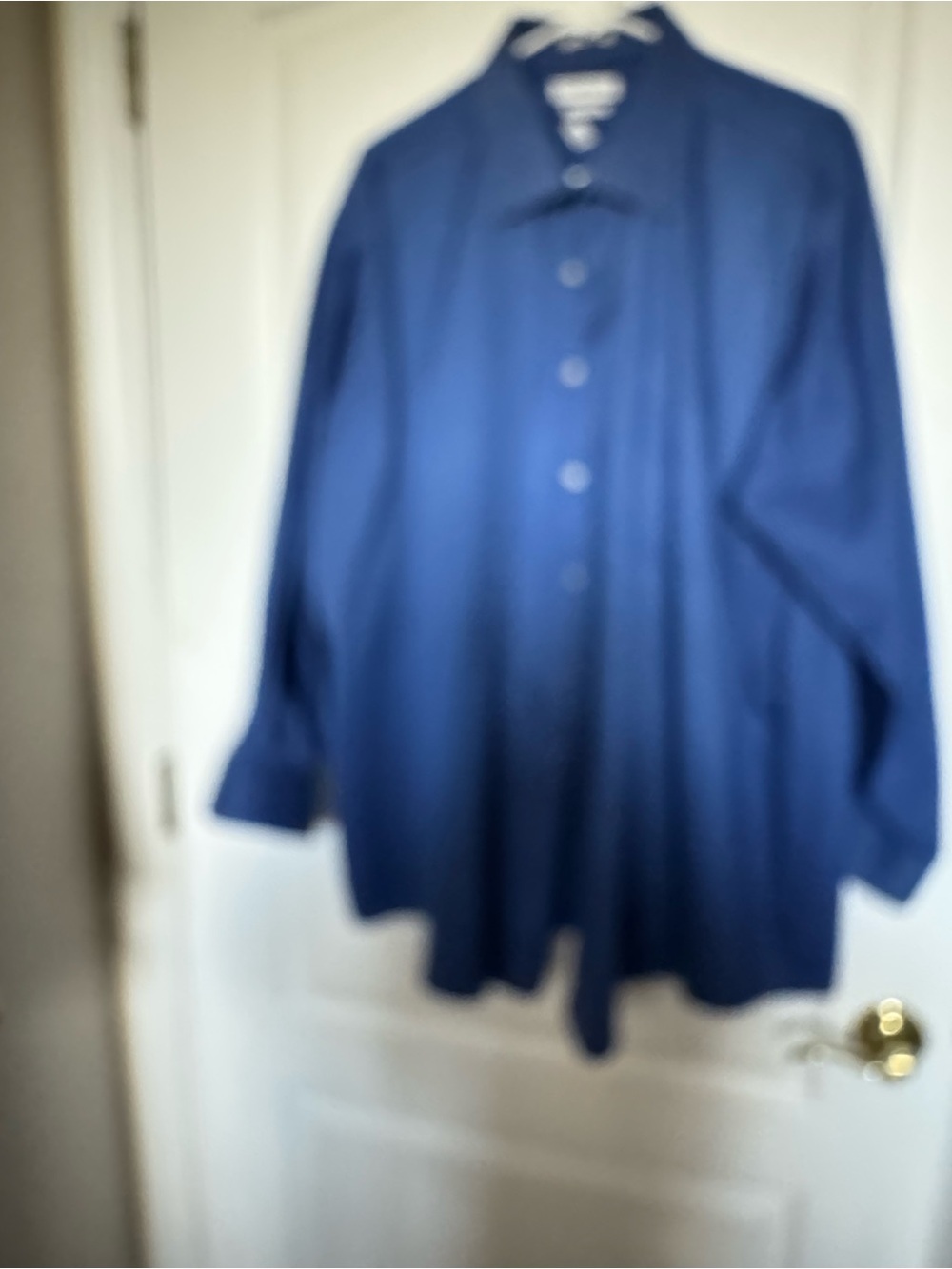 Van Heusen Deep Blue Button-Front Shirt